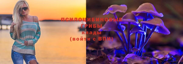винт Арсеньев