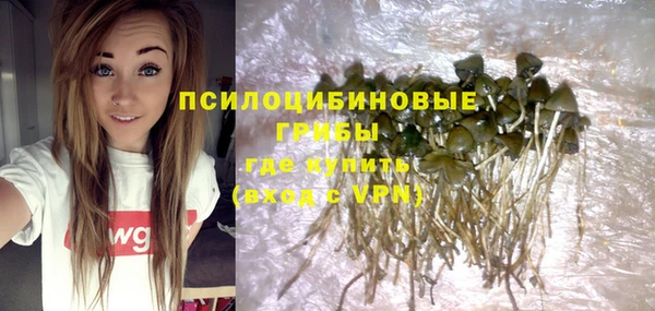 дживик Армянск