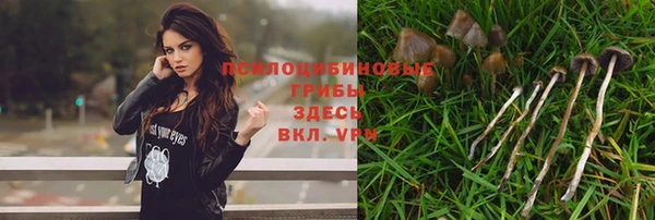 дживик Армянск