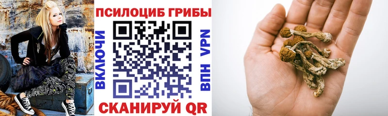 Галлюциногенные грибы Cubensis Обоянь