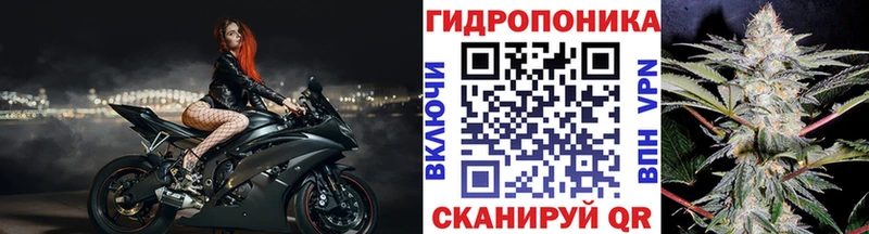 Шишки марихуана гибрид  omg маркетплейс  Обоянь 